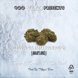 Mwana muparadzi (feat. Godda T X DJ NASh) (Radio Edit)