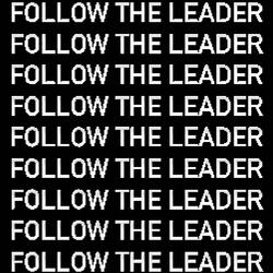 Follow The Leader
