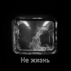 Не жизнь