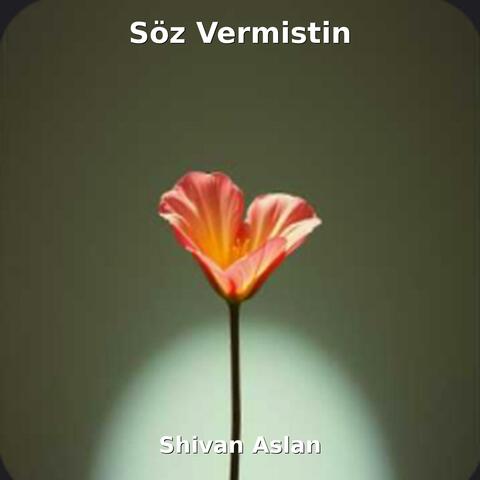 Söz vermistin