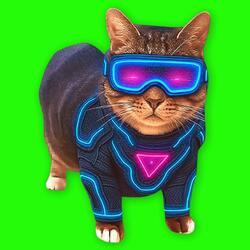 OIIA OIIA ENERGY Spinning CAT (Sped Up)