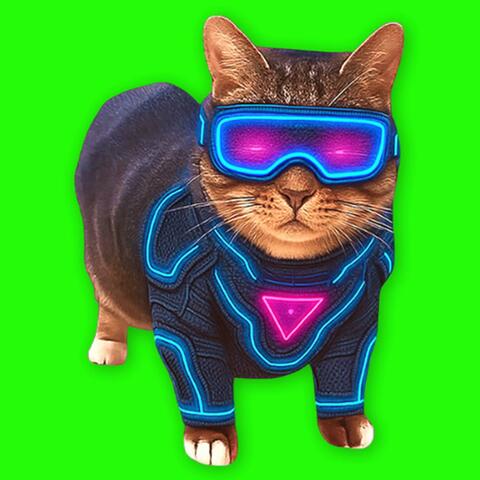 OIIA OIIA ENERGY Spinning CAT