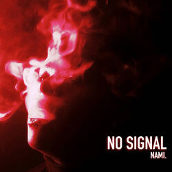 NO SIGNAL