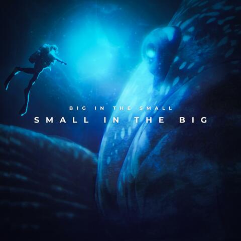Big in the Small, Small in the Big (Chill Reggae Pop | Life Goes On, Deep Vibes)
