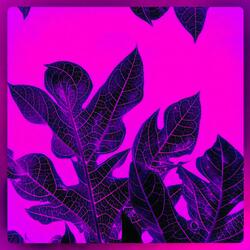 Hollow Echo (Slowed & Reverbed)