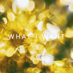 WHAT I WANT