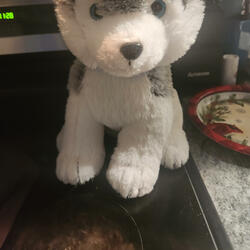 Shadows in the Rearview