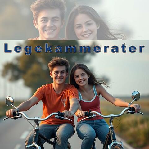 Legekammerater