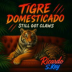 Tigre Domesticado (Still Got Claws)