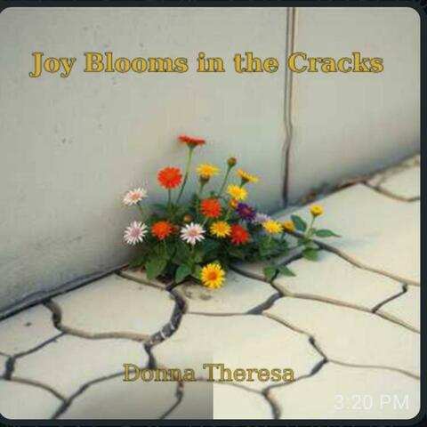 Joy Blooms in the Cracks