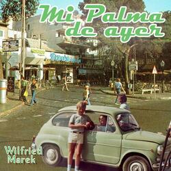 Mi Palma de ayer