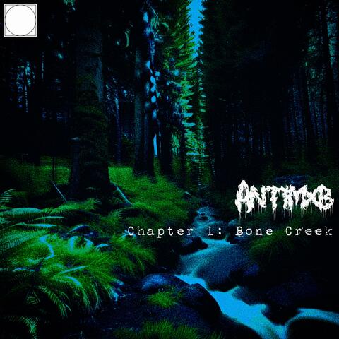 Chapter I: Bone Creek