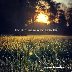 The Glinting of Waking Fields