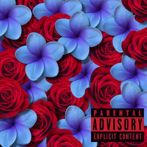ROSES ARE RED VIOLETS ARE BLUE (feat. M471K)