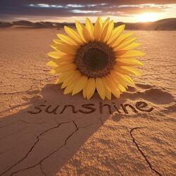 Sunshine