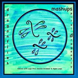 dragonflies (remixed mashup)