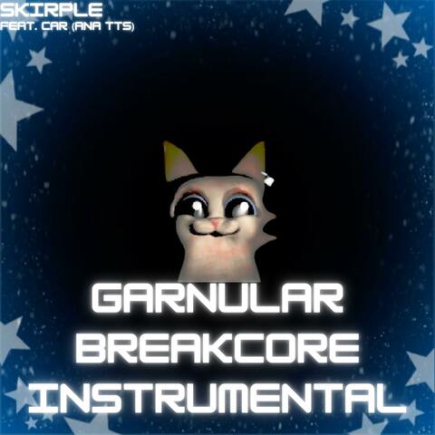 Garnular Breakcore (Instrumental Version)