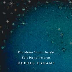 The Moon Shines Bright (Felt Piano Version)