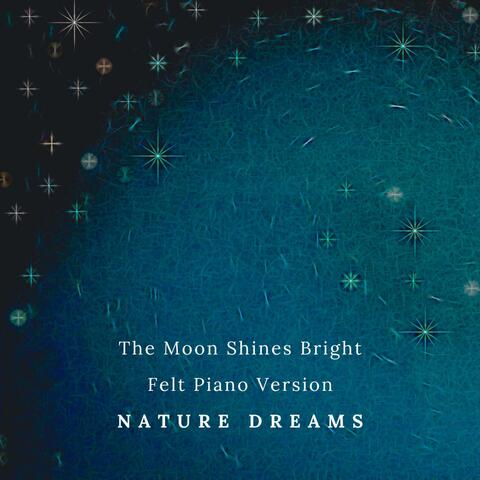 The Moon Shines Bright (Felt Piano Version)