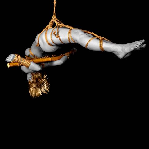 Your Submission My Air