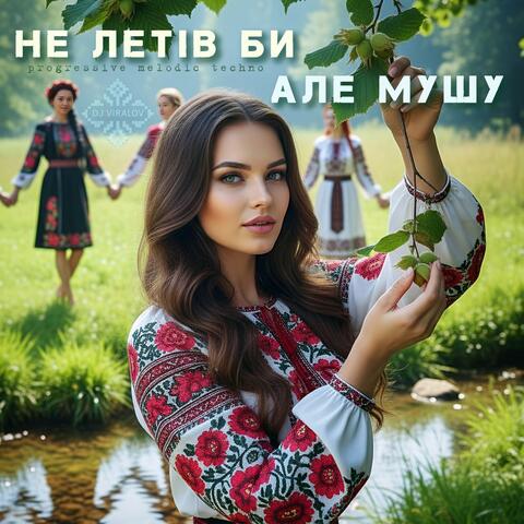 Не летів би, але мушу (Progressive Melodic Techno)