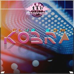 DJ​ KOBRA