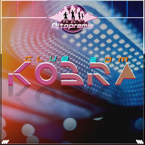 DJ​ KOBRA
