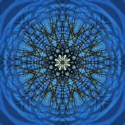 Where Shadows Remember