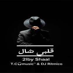 2LBY SHAAL (قلبي شال)