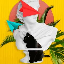 When the Catnip Hits