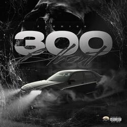 300 BLKOUT