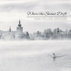 Where the Swans Drift (feat. Henri-Philippe Marchand)
