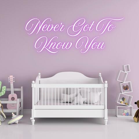 Never Got To Know You