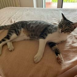 PEANUT128 (Genny Diss Track)