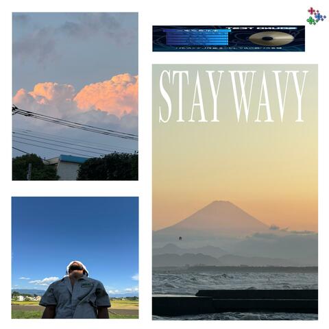 Stay Wavy, Vol. 15
