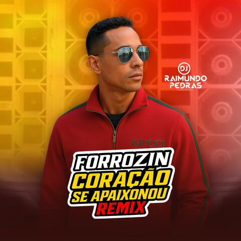 Coração Se apaixonou (Forrozin Remix)