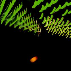 Familiar Face (Single Version)