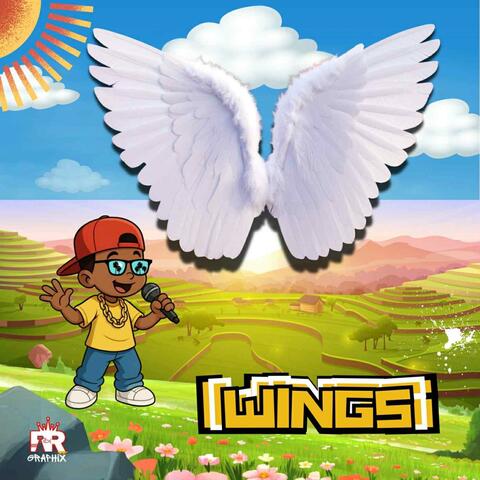 Wings