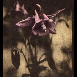 a little cold just like fall.