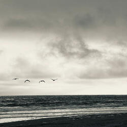 what will your verse be?