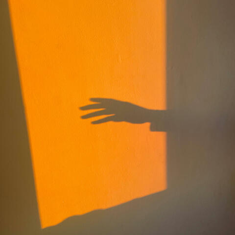 Madame_v1 (Version démo)