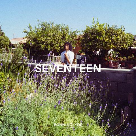 seventeen
