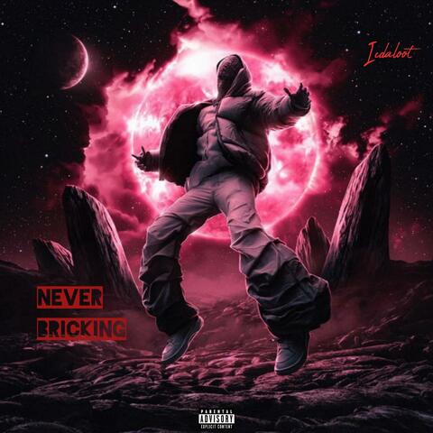 Never Bricking