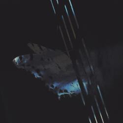 When It All Goes Black