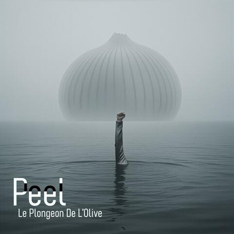 Le plongeon de l'olive
