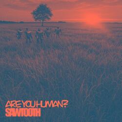 Are you human?