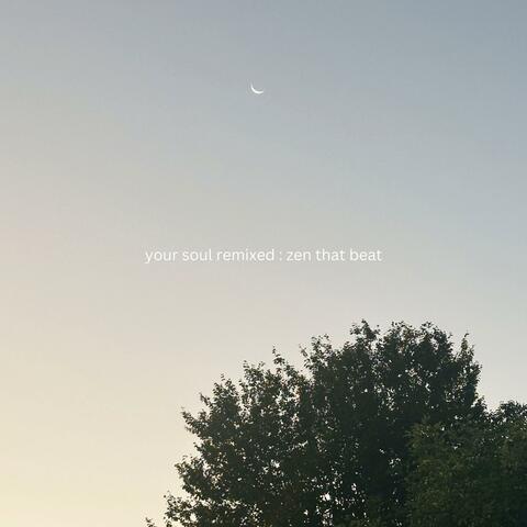 Your Soul Remixed (Your Soul Goes On Upbeat Mix)