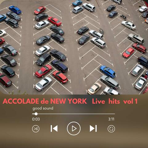Accolade de New York "live hits vol 1 "