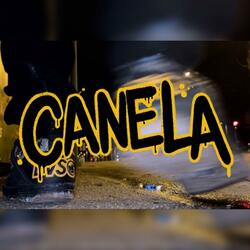 CANELA
