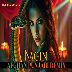 Nagin – Afghan Punjabi Party AntheM